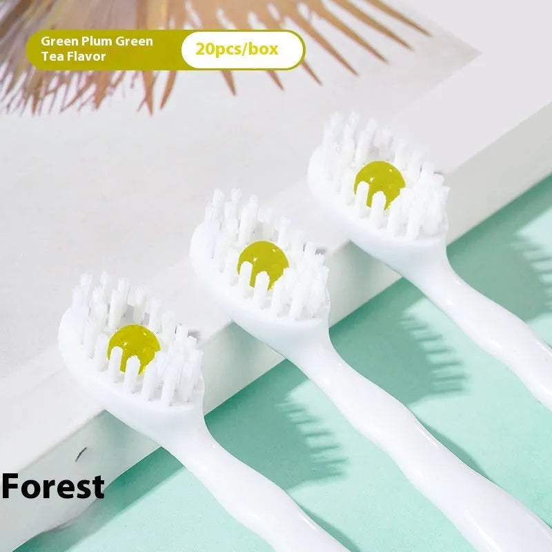 Box of disposable bead toothbrushes showing mint, peach, and plum green tea flavour options for travel.