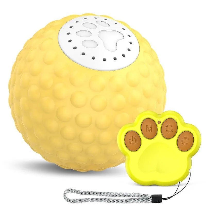 Remote control and a blue smart cat ball toy on a wooden floor.