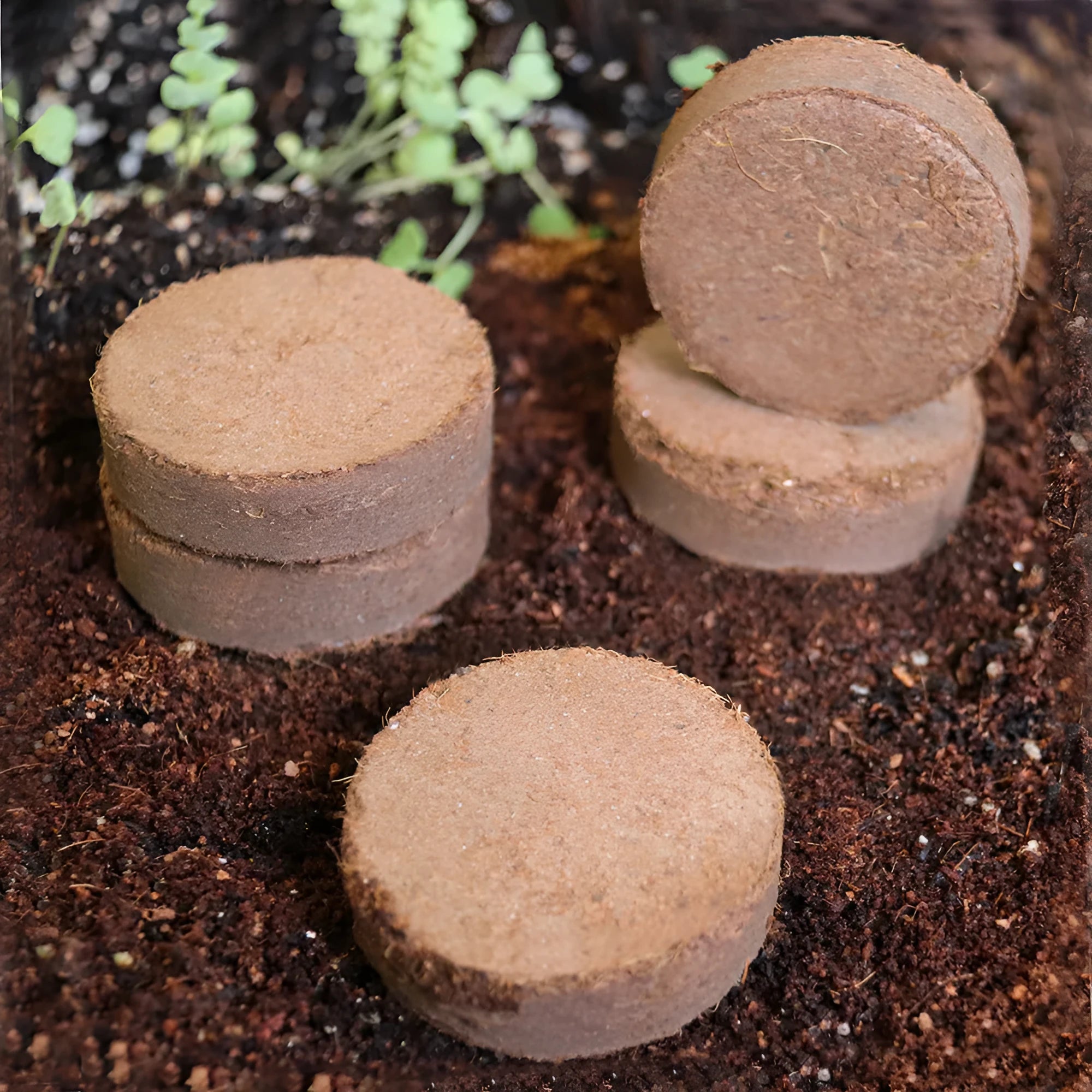 Nutrient soil blocks for vegetable planting showing different particle size specifications from 30mm to 100mm
