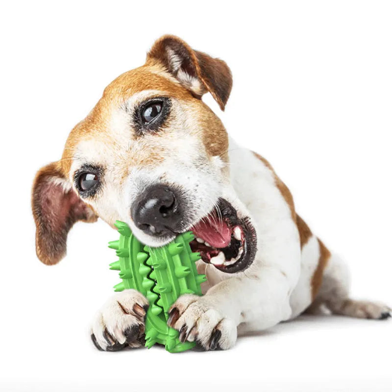 Green cactus-shaped rubber dog chew toy for dental cleaning, shown with dimensions.
