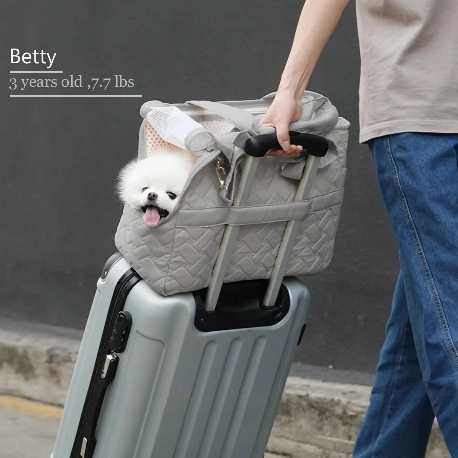 Grey pet carrier handbag with mesh panels and shoulder strap for cat or small dog transport
