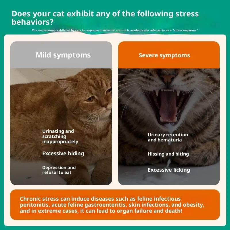 Cat anti-stress calming pheromone 35g shield volatile version for outings and cat cages