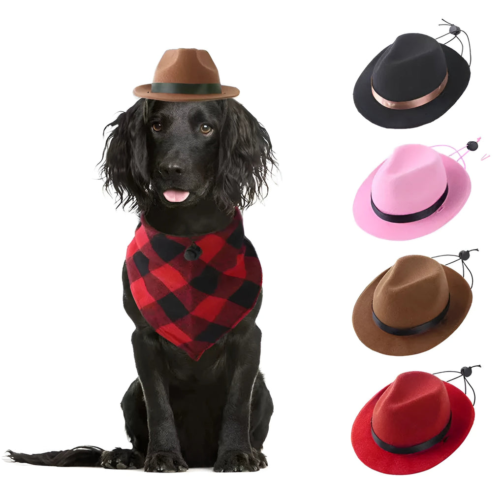 S size 155cm diameter mini pet hat in wool felt for Halloween birthday events
