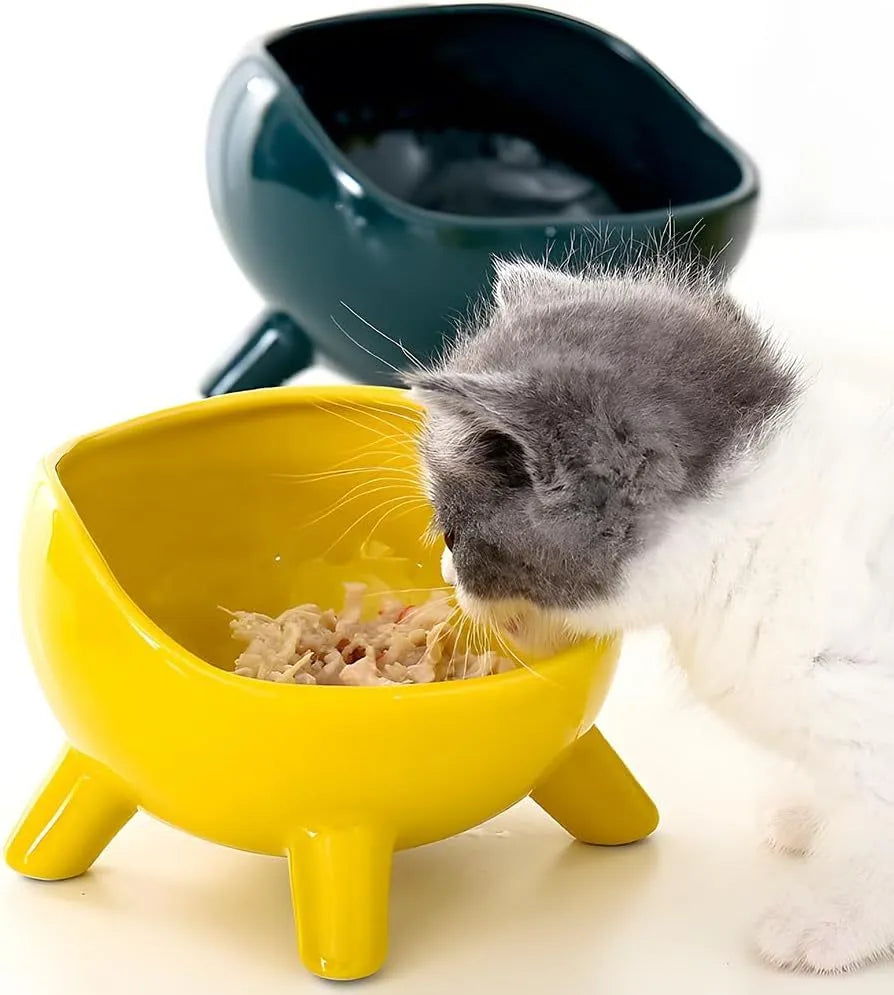 Ceramic pet bowl with four legs, wide mouth, and rounded arc design in green colour
