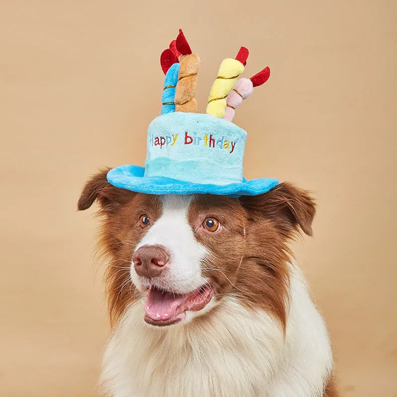 Blue dog birthday hat with party balloons and candles for small to medium dogs