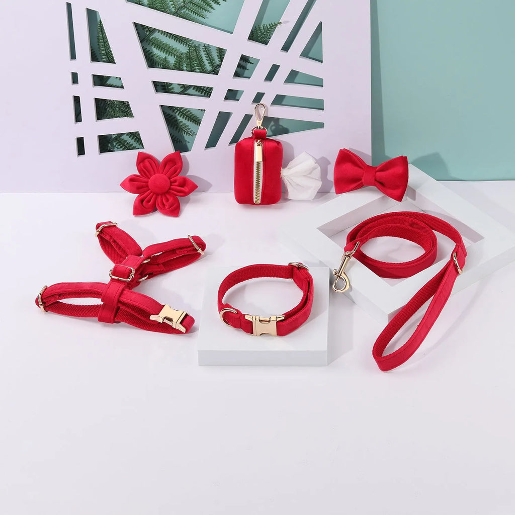 Pet collar and traction rope set in velvet fabric with bow tie, flower, and chest strap accessories