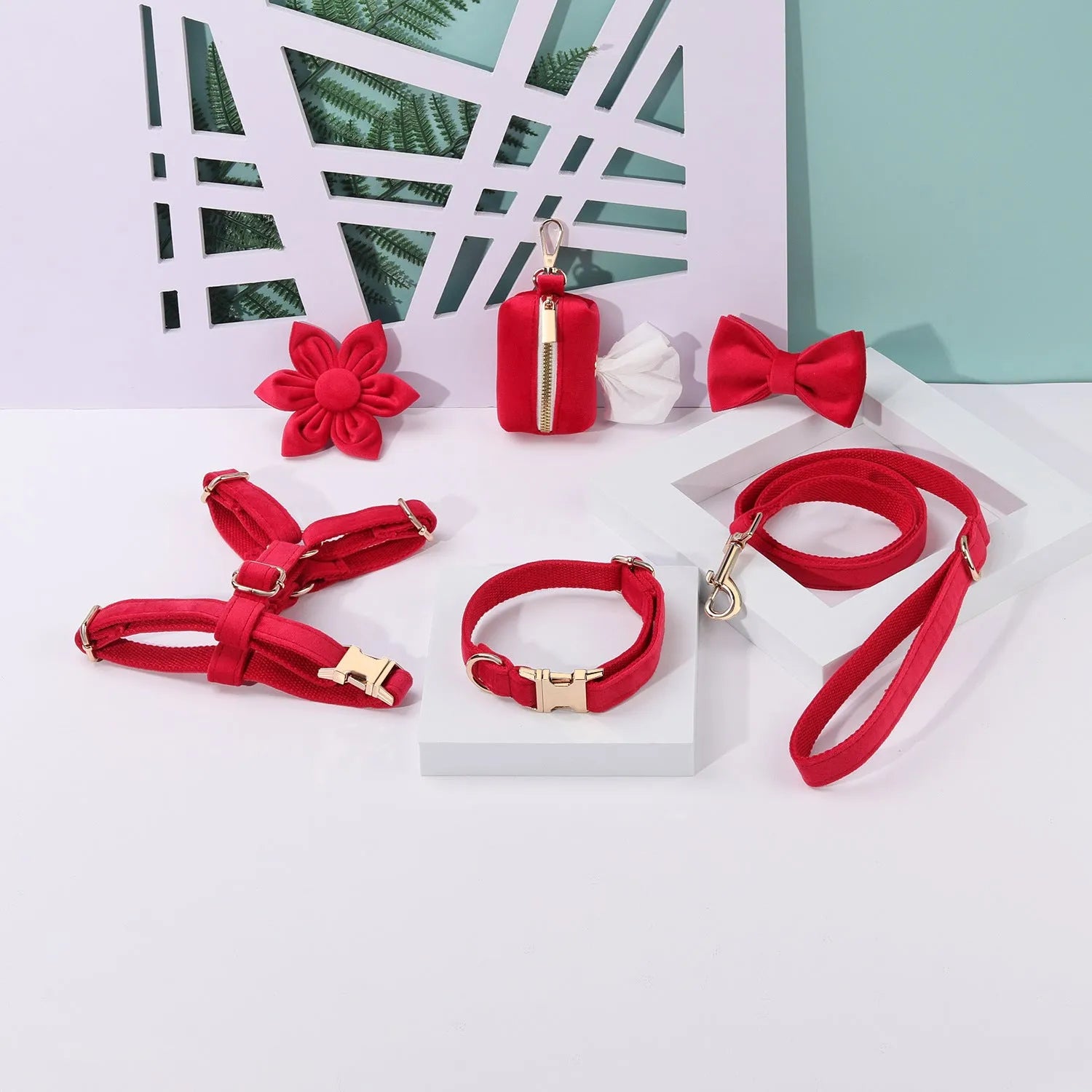 Pet collar and traction rope set in velvet fabric with bow tie, flower, and chest strap accessories