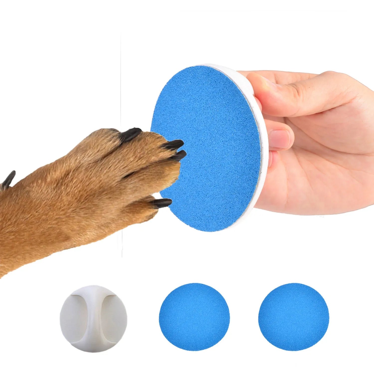 Square dog nail scratch board with ergonomic handle in choice of four colours