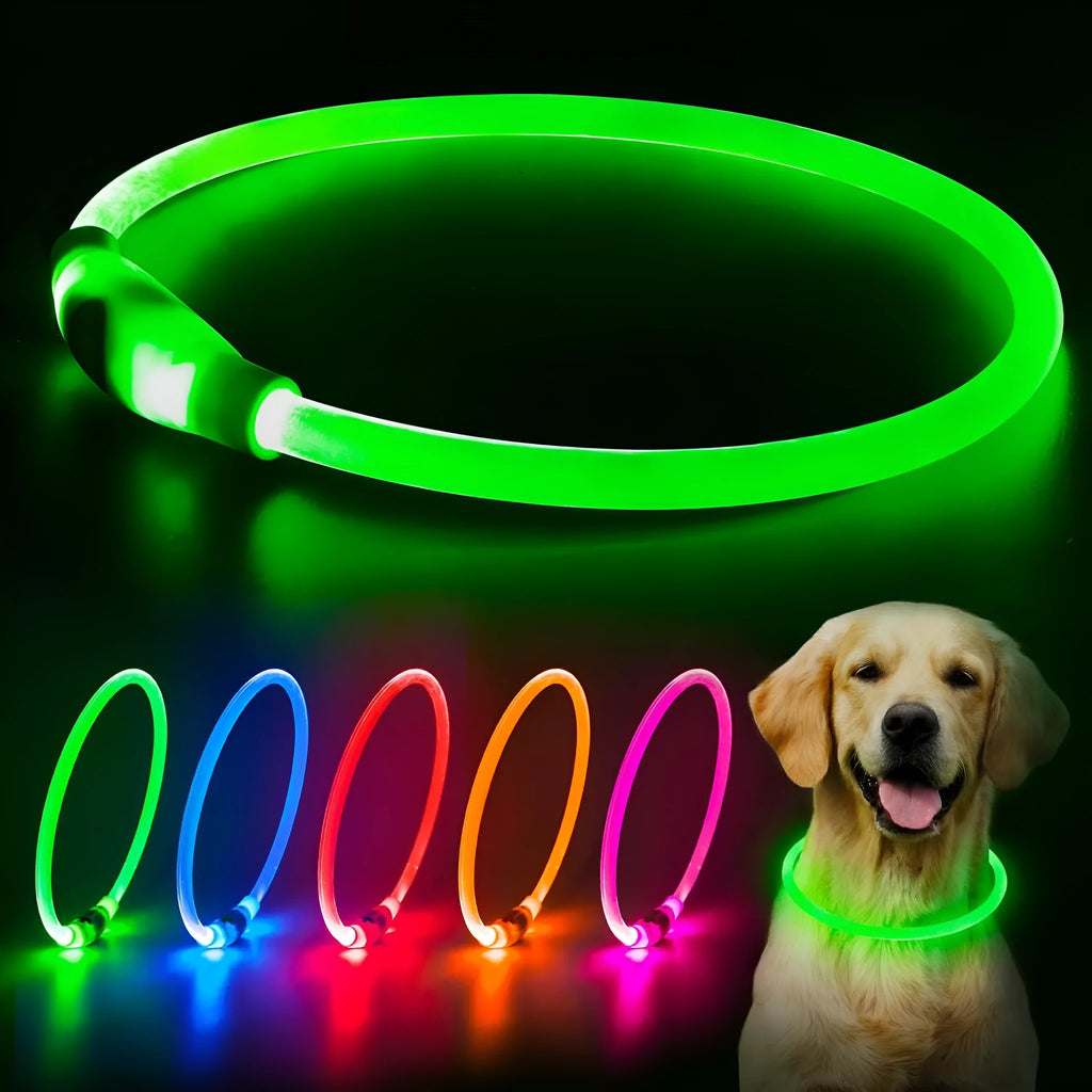 USB rechargeable LED dog collar glowing blue with adjustable TPU strap and charging cable