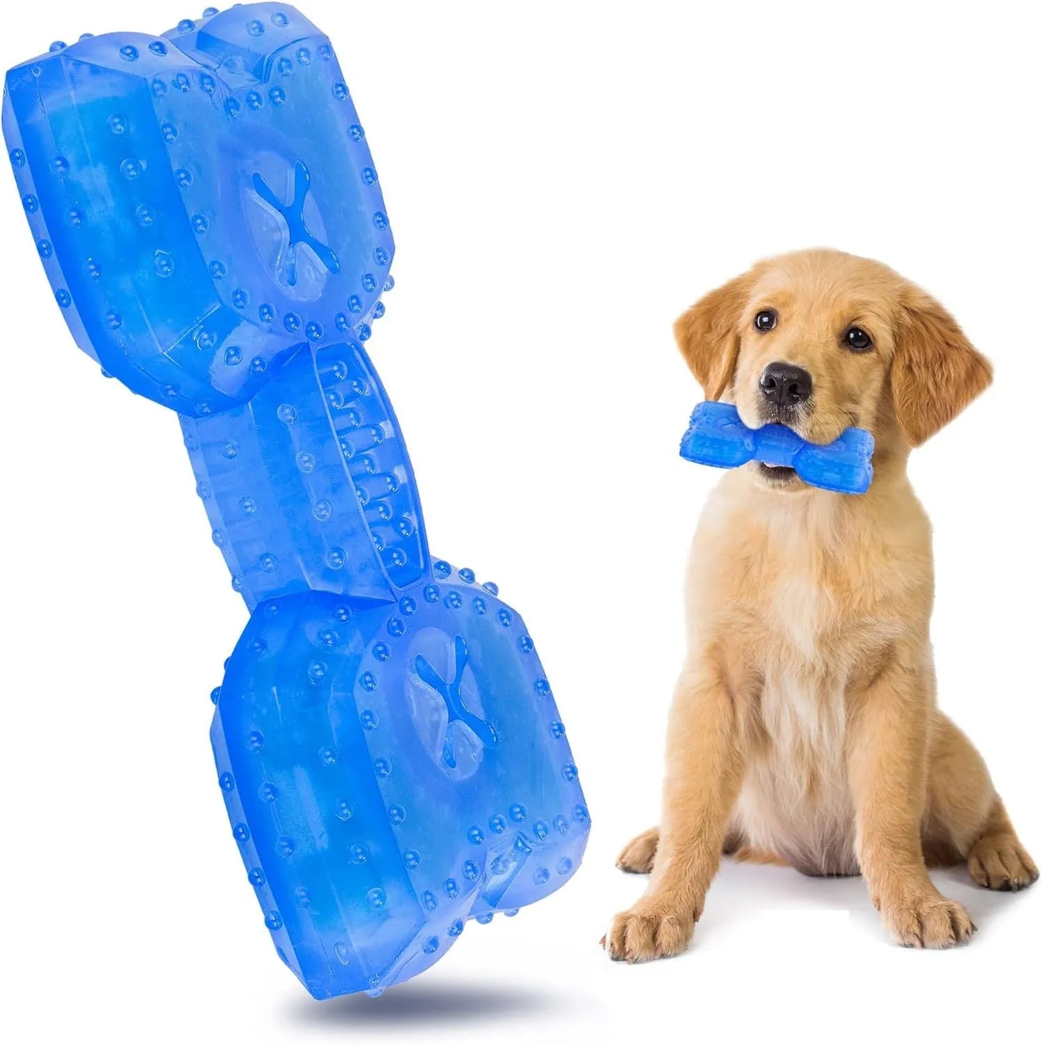 A freezable bone-shaped dog chew toy with a treat cavity, shown alongside a circle-shaped variant.