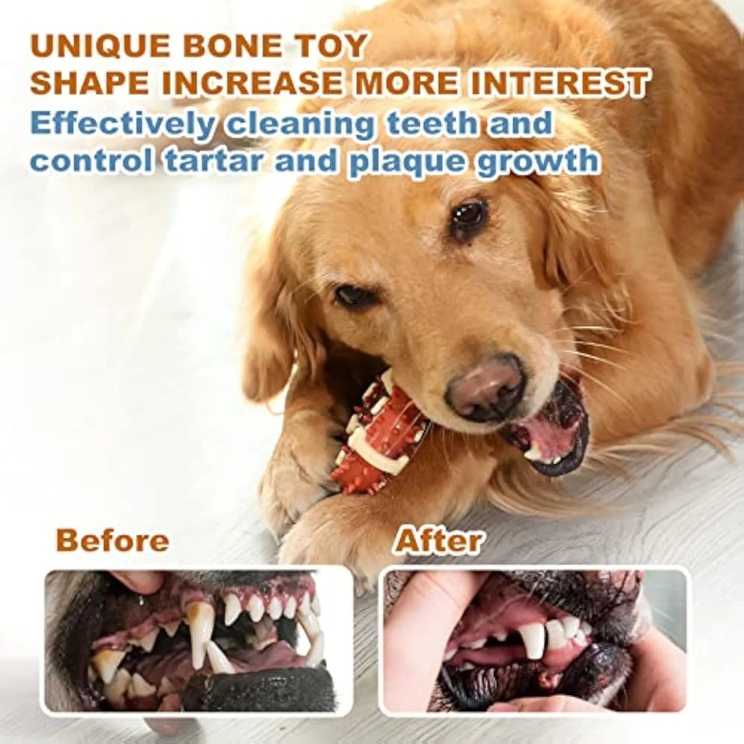 Bone-shaped natural rubber dog chew toy in large and small sizes for teeth grinding