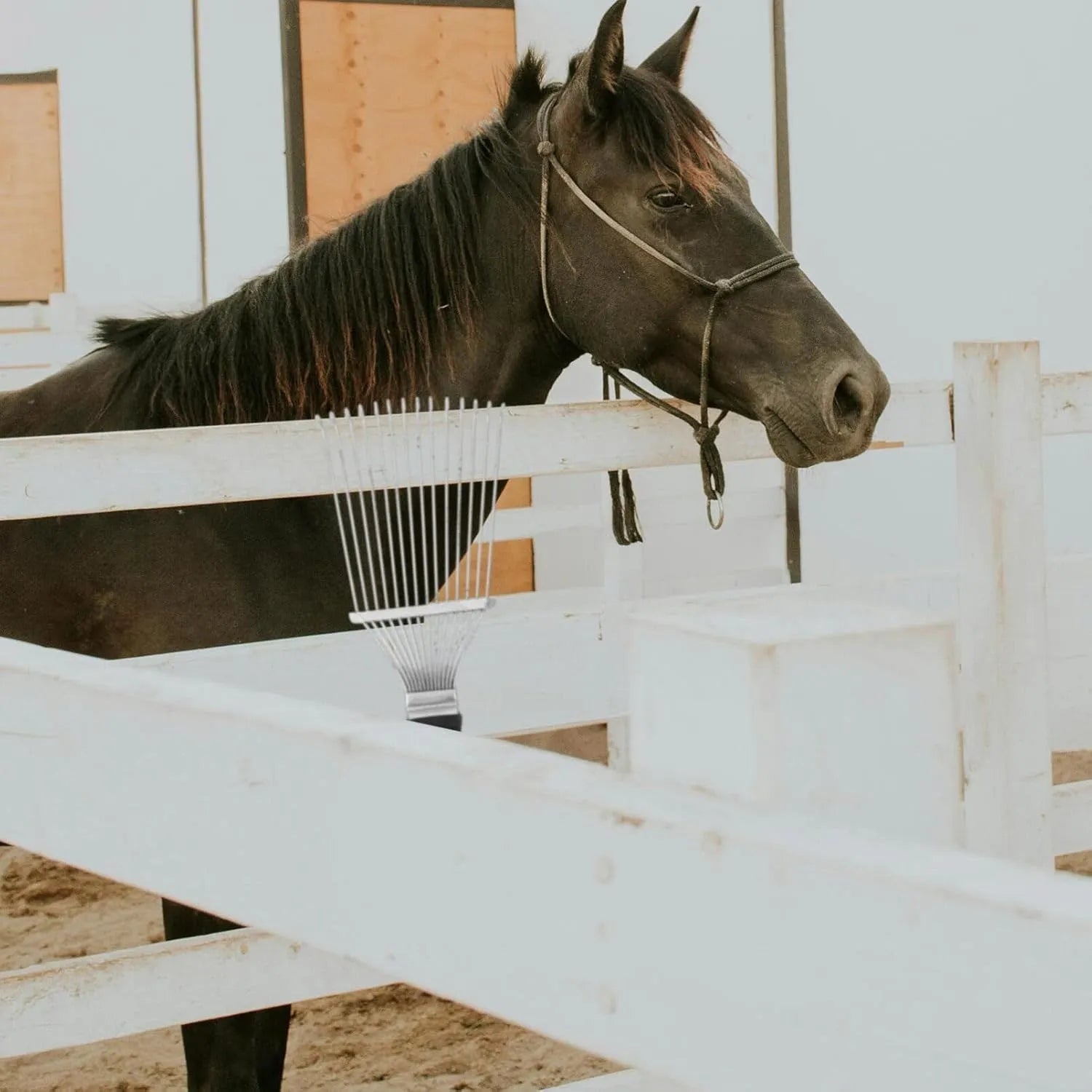 Stainless steel dematting brush rake comb for grooming horses, dogs, and livestock.