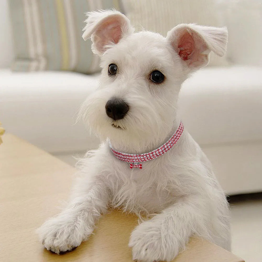 Bling rhinestone dog collar in pink with metal crystal pendant on a Chihuahua