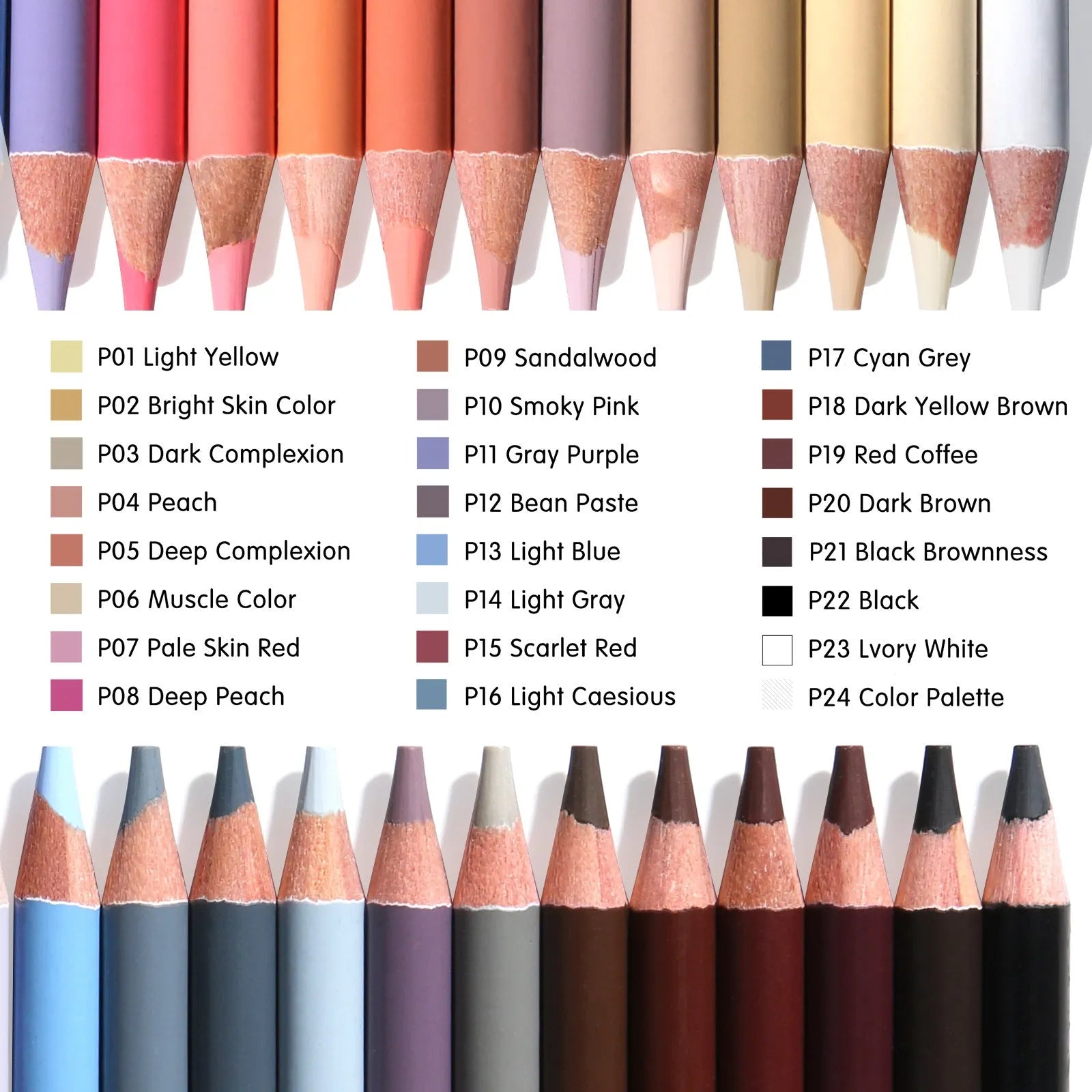24 skin colour pencils for portrait painting in round iron box container