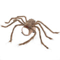 Gray Halloween spider costume on dog with eight faux legs and four-leg openings
