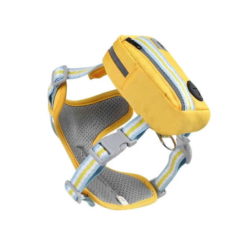 Explosion-proof anti-strangulation pet harness with breakaway buckle on a small dog, includes 1.5 metre rope.