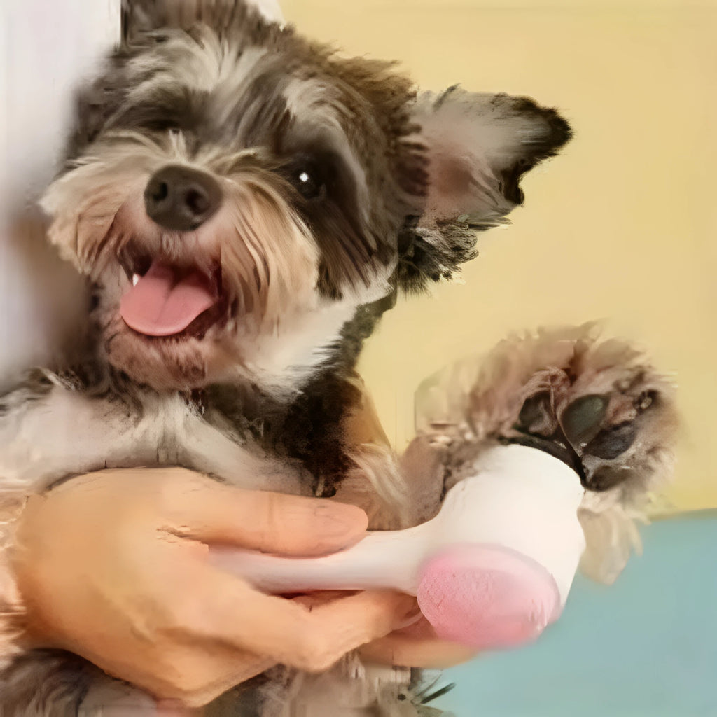 Blue and pink pet paw brush with nylon bristles for dog and cat grooming, measuring 13.5cm long