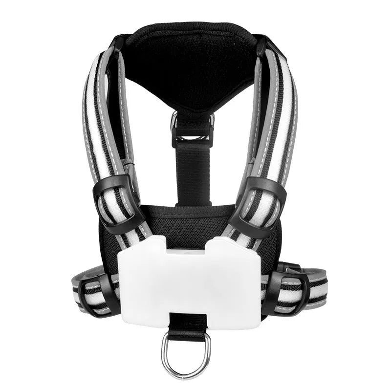 Nylon luminous dog lead with seven-colour changing LED light and charging port