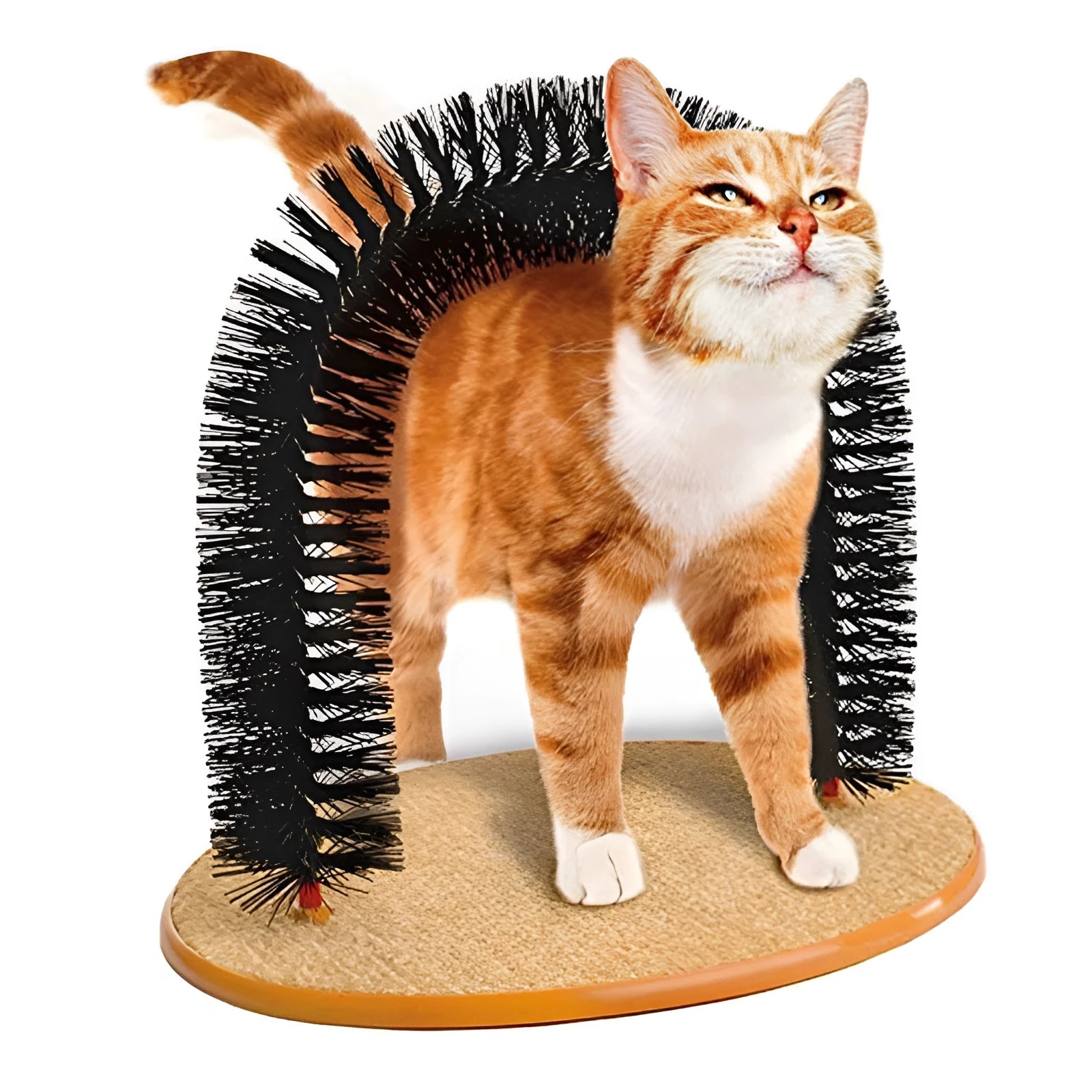 White plastic arched cat toy with rows of built-in brush bristles for scratching and grooming.