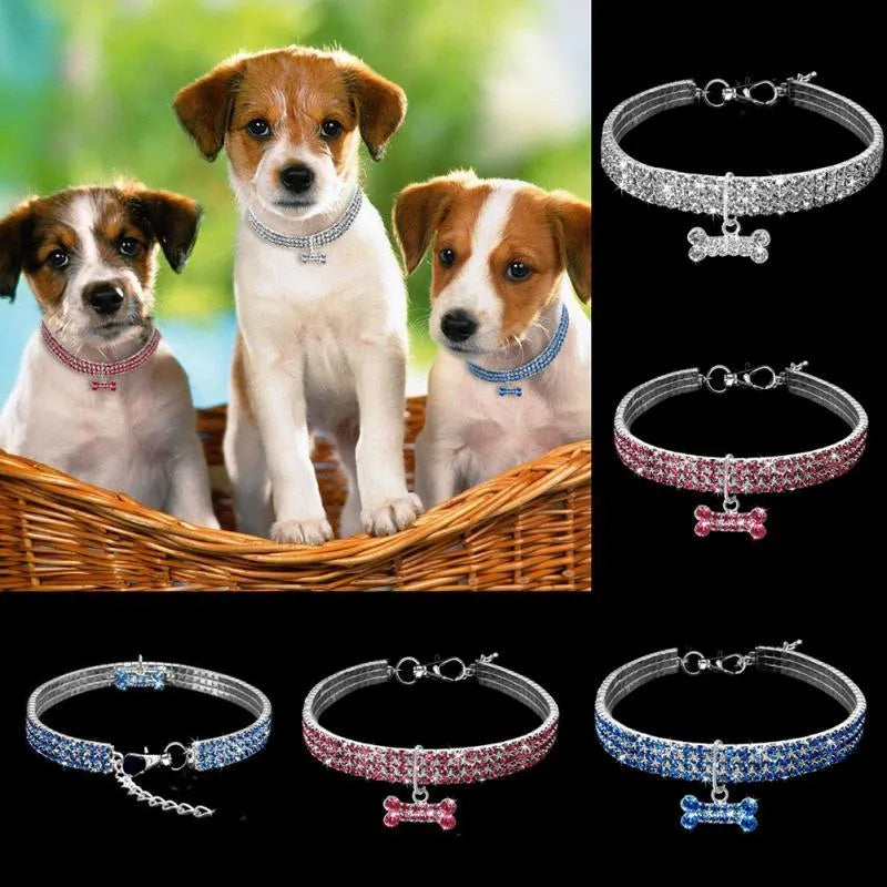 Bling rhinestone dog collar in pink with metal crystal pendant on a Chihuahua