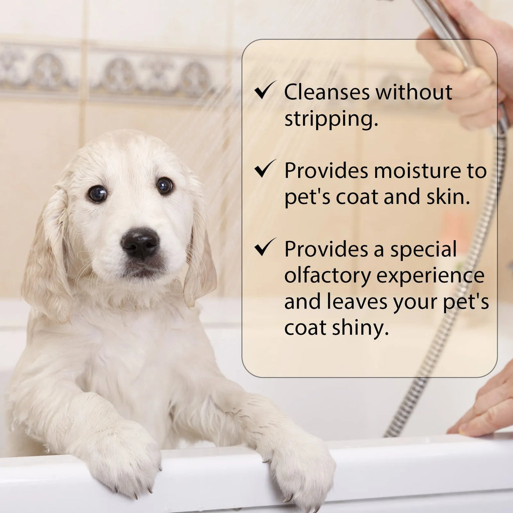 Bottle of mild pet shampoo for dogs, options for 100ml and 300ml sizes.