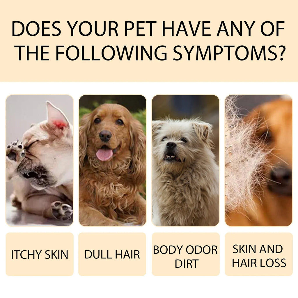 Bottle of mild pet shampoo for dogs, options for 100ml and 300ml sizes.