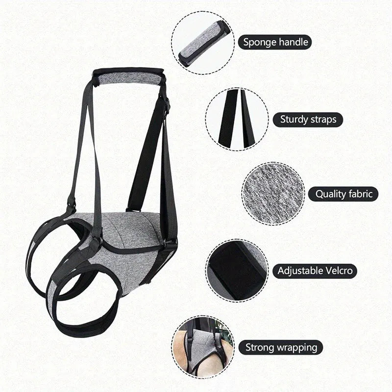 Grey neoprene dog rear leg recovery support belt shown with size chart.