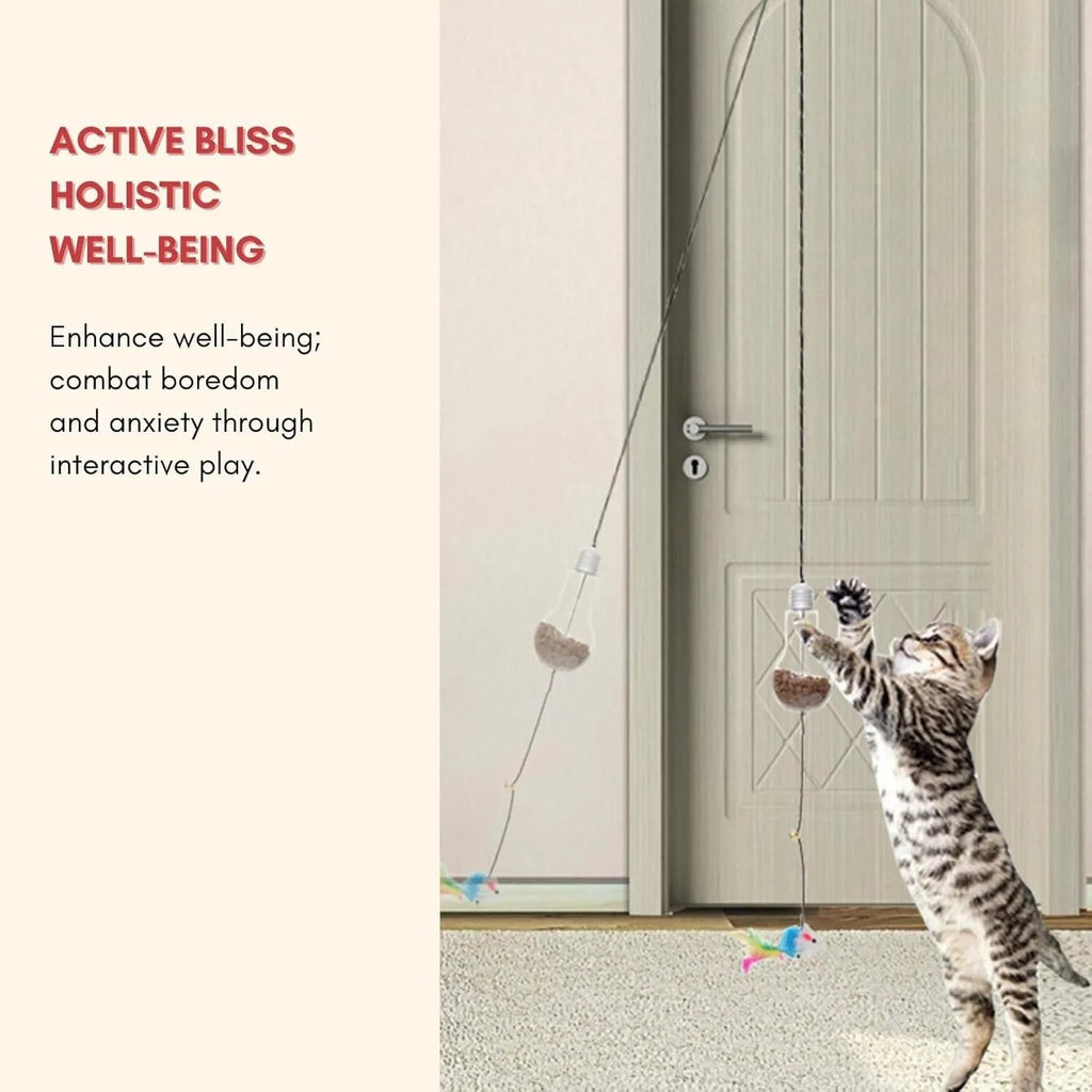 Grey and yellow hanging interactive cat toy mounted on door frame with elastic rope and treat bulb