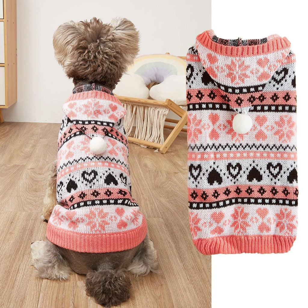 Striped camouflage dog sweater on small Bichon breed in pink colour