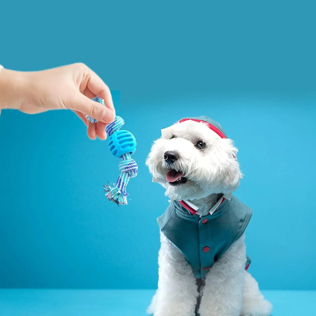 Blue molar-shaped dog chew toy with rope strands for dental cleaning