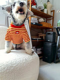 Pet clothing warm cute striped polyester dog coat in blue size M on white background