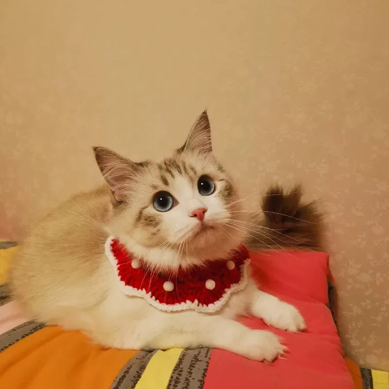 Knitted pet collar with cartoon pattern in milk cotton yarn for cats dogs rabbits