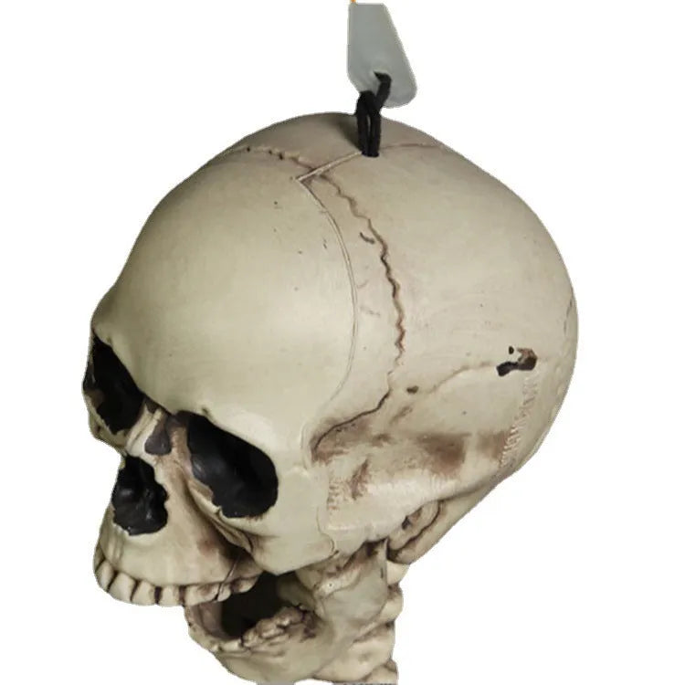 170cm plastic skeleton prop with detailed skull for anatomical displays and Halloween decoration