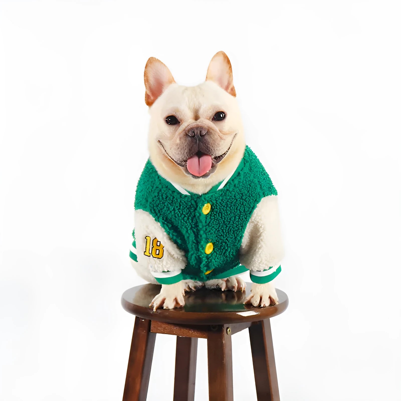 Green fleece-lined dog winter jacket shown in sizes L, XL, XXL, 3XL, and 4XL
