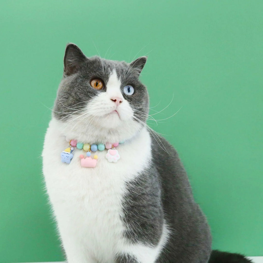 Colourful macaron resin charm pet collar bracelet for cats and dogs in adjustable sizes