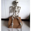 170cm plastic skeleton prop with detailed skull for anatomical displays and Halloween decoration