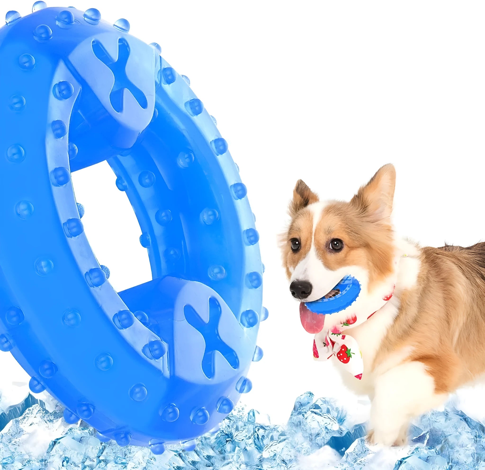 A freezable bone-shaped dog chew toy with a treat cavity, shown alongside a circle-shaped variant.