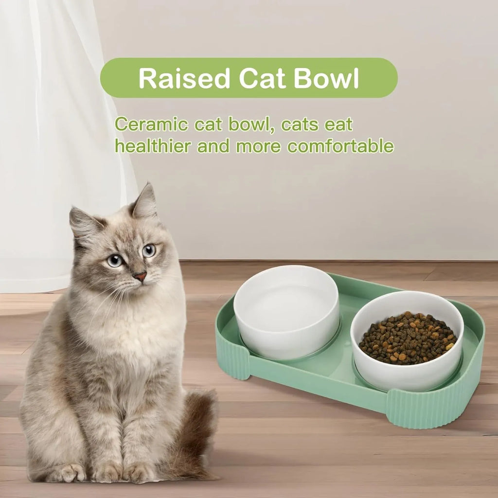 Green ceramic elevated cat bowl set with two dishes on a tilted, non-slip stand