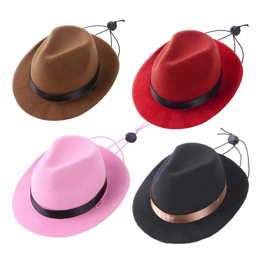 S size 155cm diameter mini pet hat in wool felt for Halloween birthday events