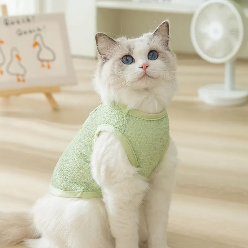 Blue knitted cat clothing with a bear patch, showing hollowed-out breathable design