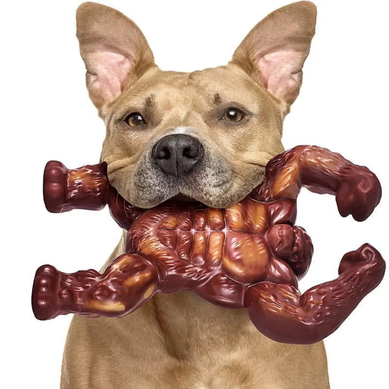 Scarlet coloured nylon dog chew toy with beef flavour for molar nibbling