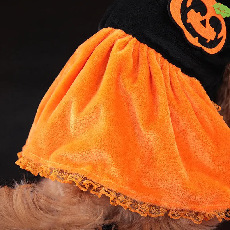 Orange crystal velvet Halloween pumpkin skirt costume on a small dog, with size chart showing measurements.