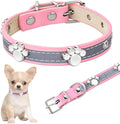 Reflective PU leather dog collar with metal buckle and decorative paw rivet, shown on a size chart.