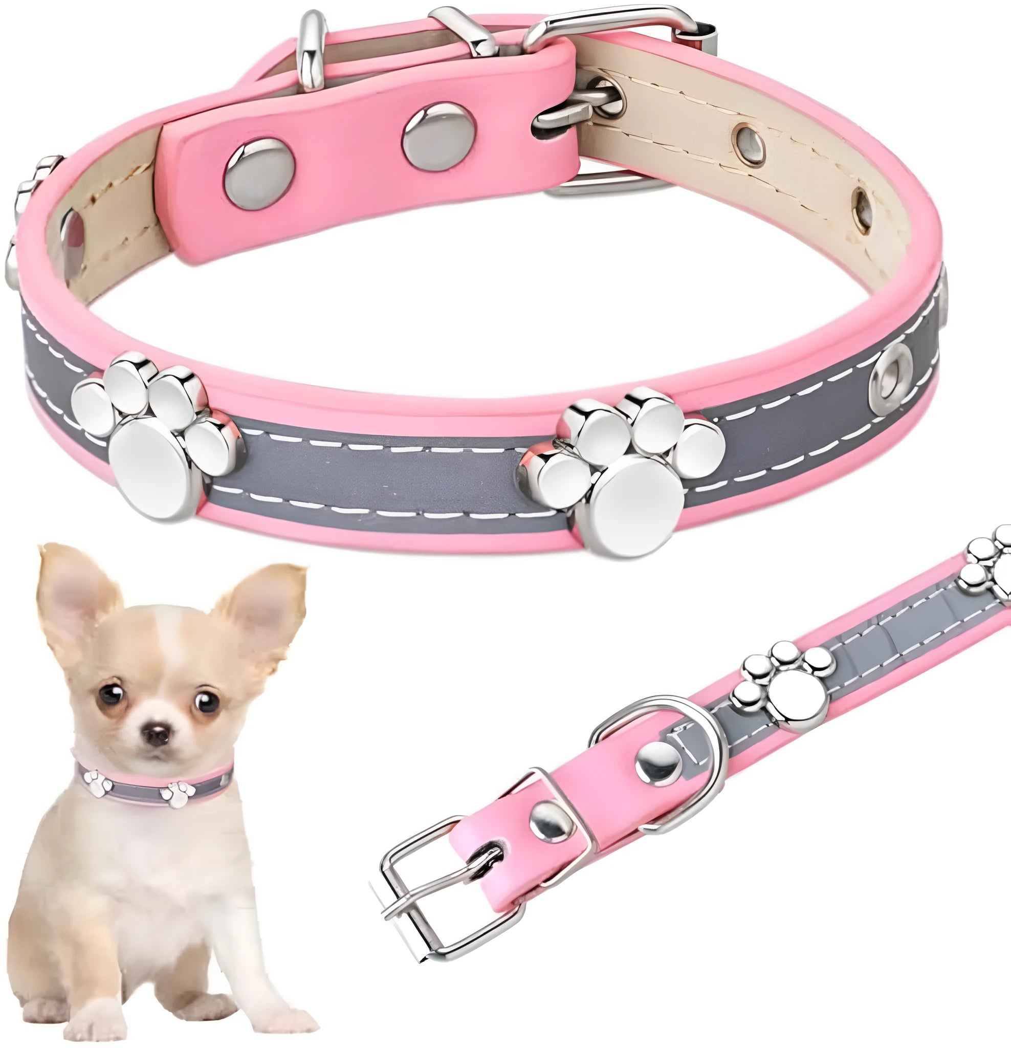 Reflective PU leather dog collar with metal buckle and decorative paw rivet, shown on a size chart.