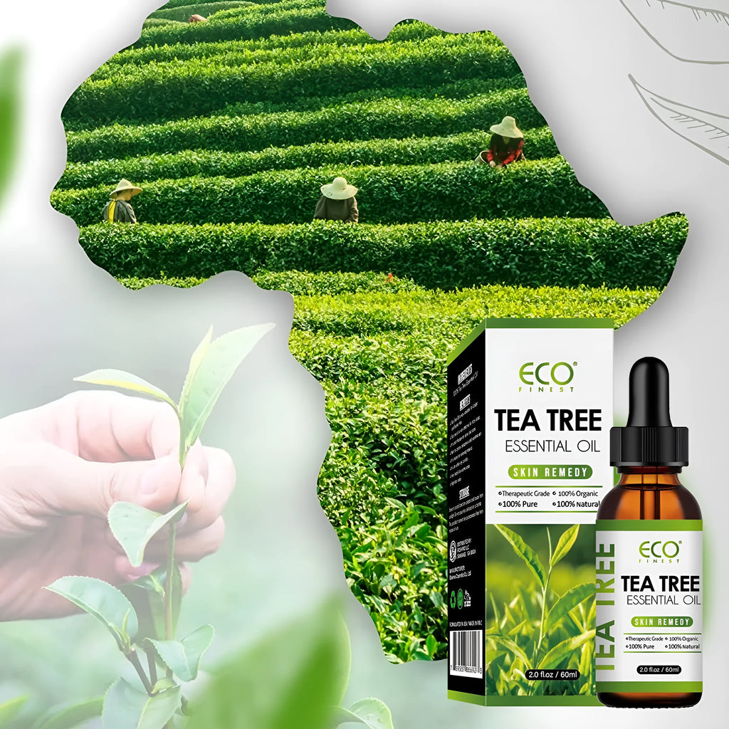 60ml bottle of tea tree essential oil for acne and massage use.