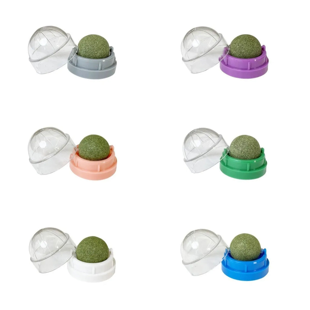Plastic cat toy with textured dental cleaning surface and catnip ball in multiple colour options