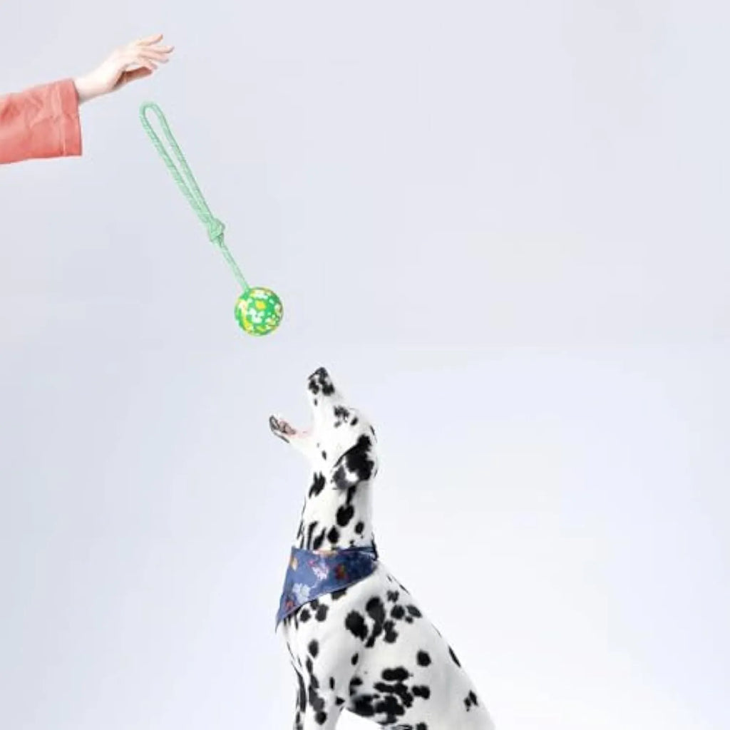 Natural rubber dog ball on nylon rope toy for medium small dogs with 6cm ball diameter