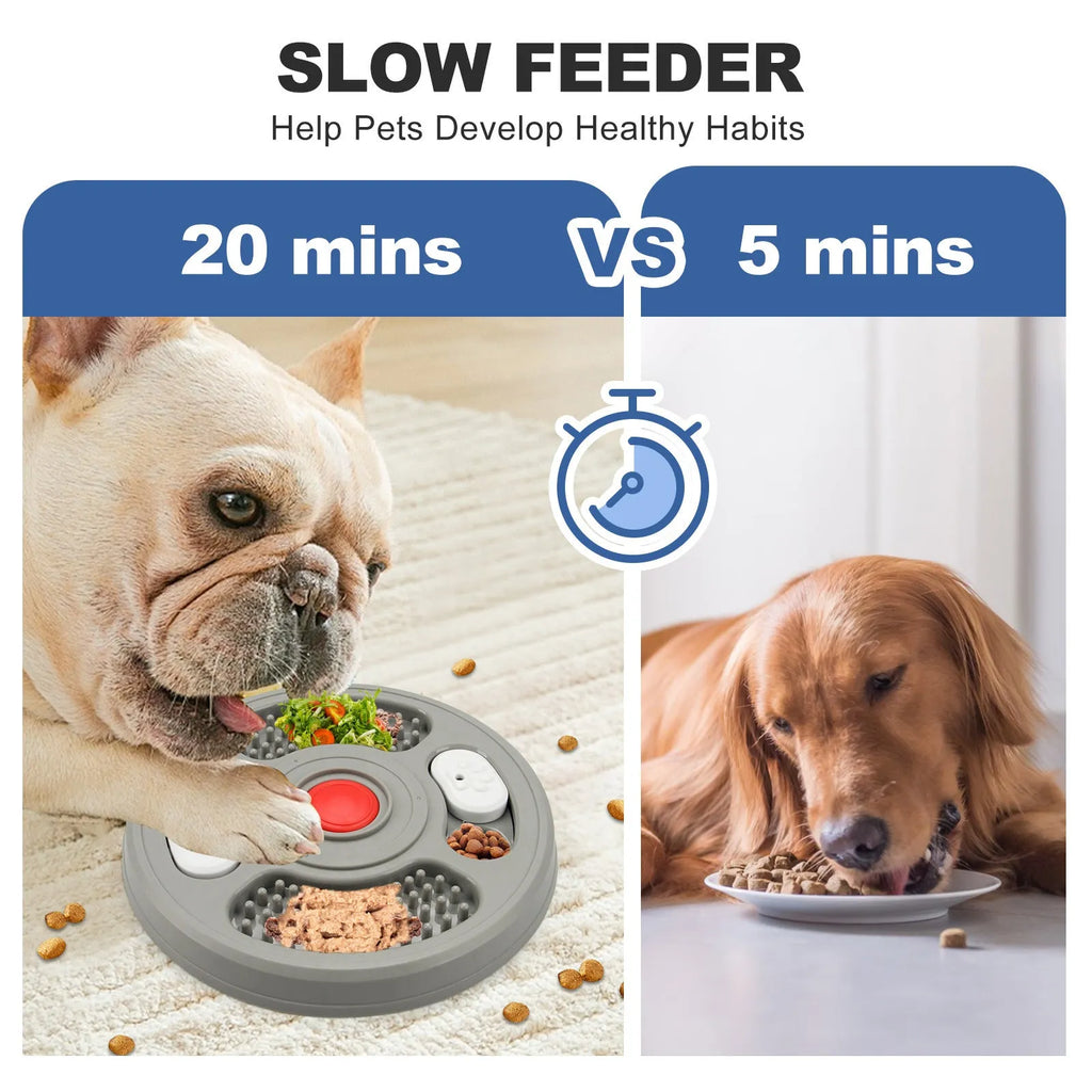 Grey and blue PP plastic dog slow feeder bowl with grooves and anti-slip pads on a white background