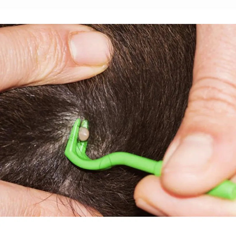 Three plastic tick removal tools with hook design for pets, shown in blue and green colours