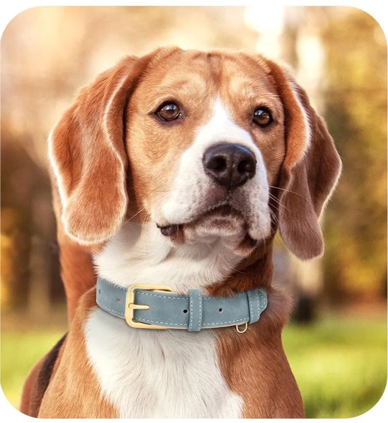 Mohair leather double-layer dog collar and matching lead in blue, shown on a size chart for S, M, L, and XL.